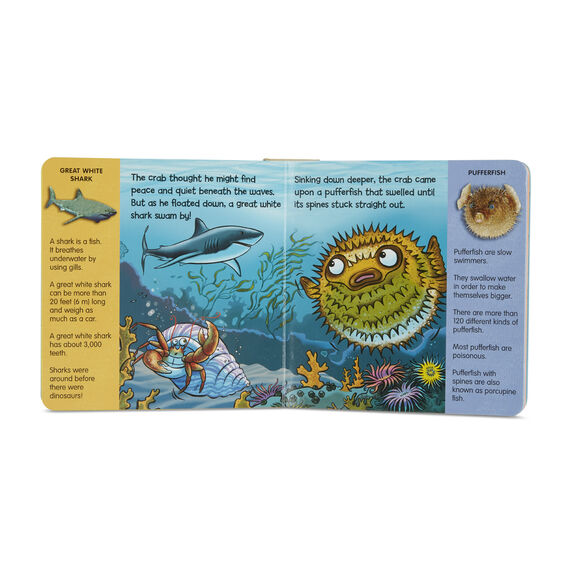 Melissa and Doug Play Along - At the Seashore