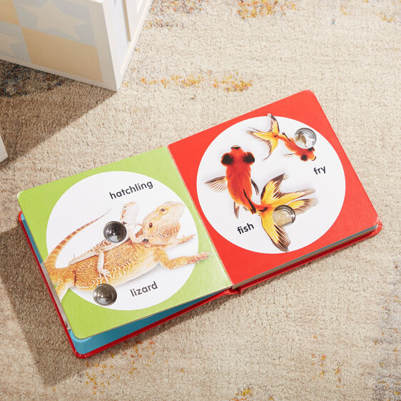 Melissa and Doug Poke-a-Dot - Pet Families