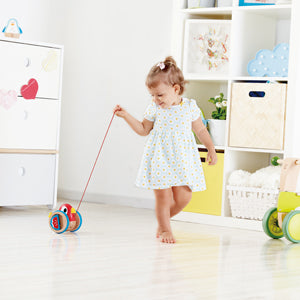 Hape Baby Bird Pull-Along