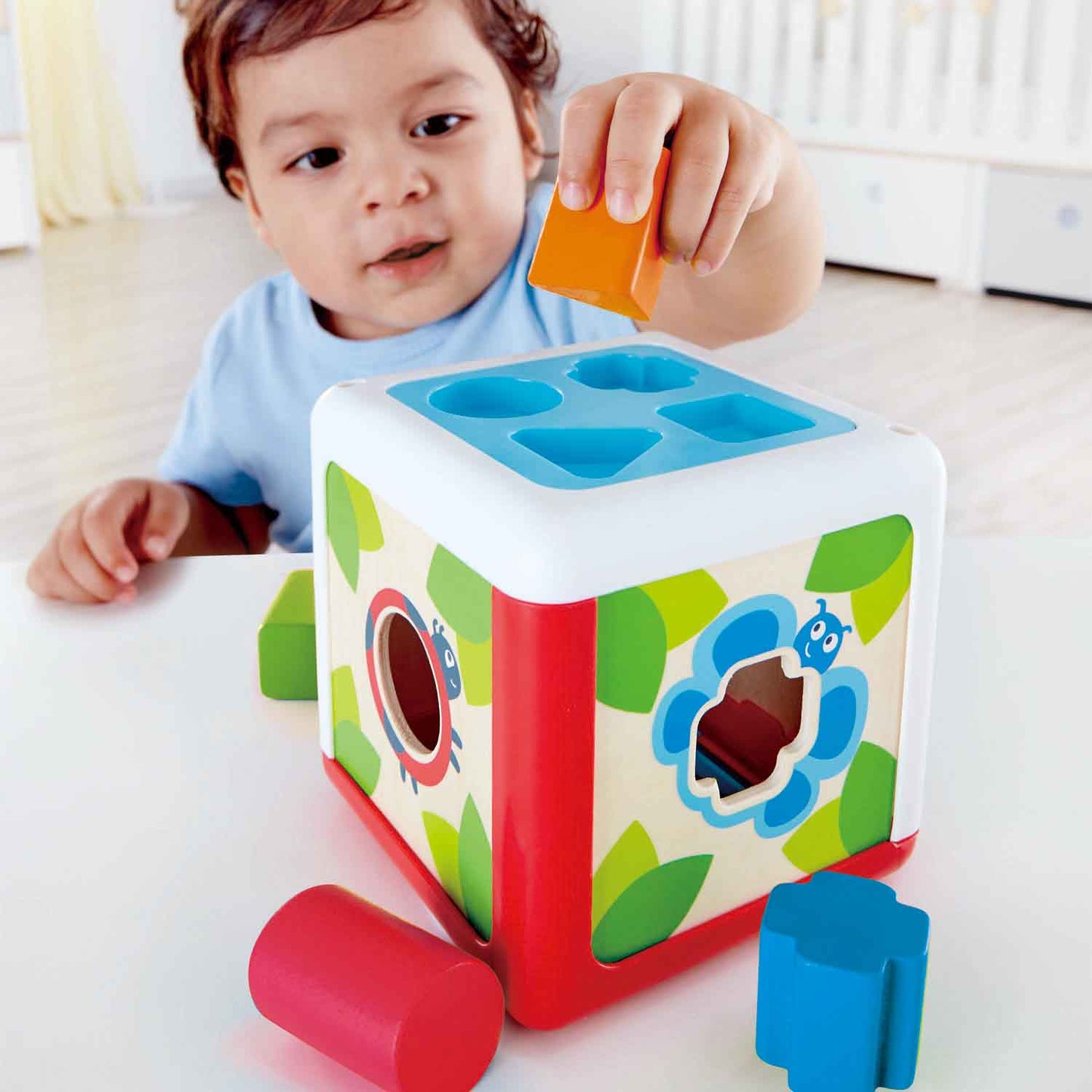 Hape Shape Sorting Box