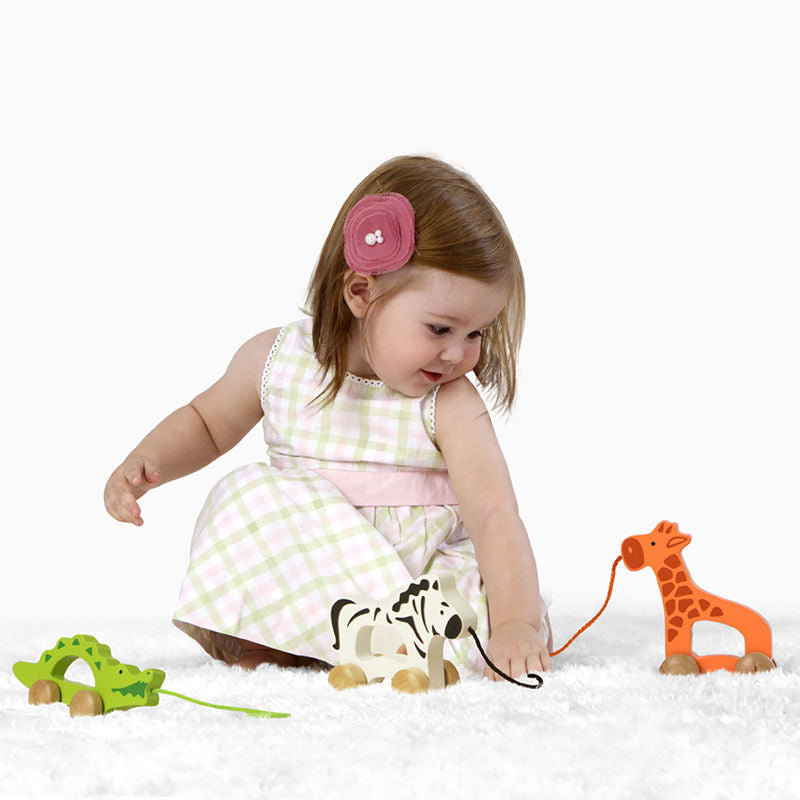 Hape Giraffe Push & Pull Toy