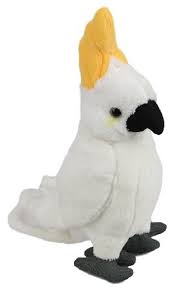 Cockatoo Baby 15cm