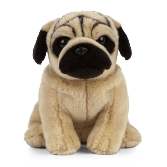 Pug