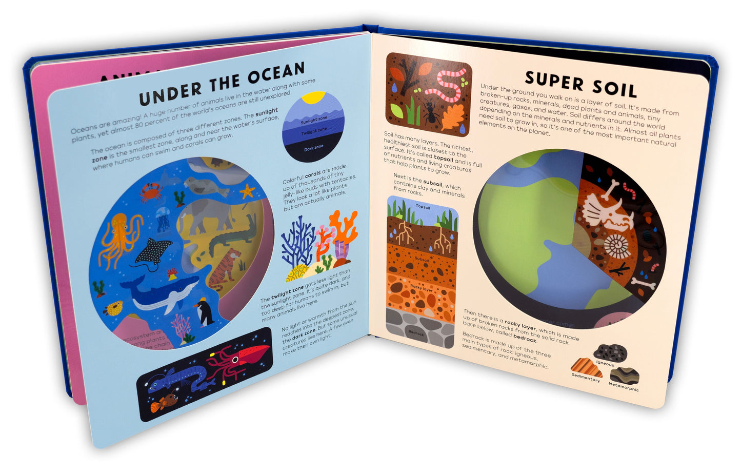 THE EARTH BOOK See-Through STEM Book